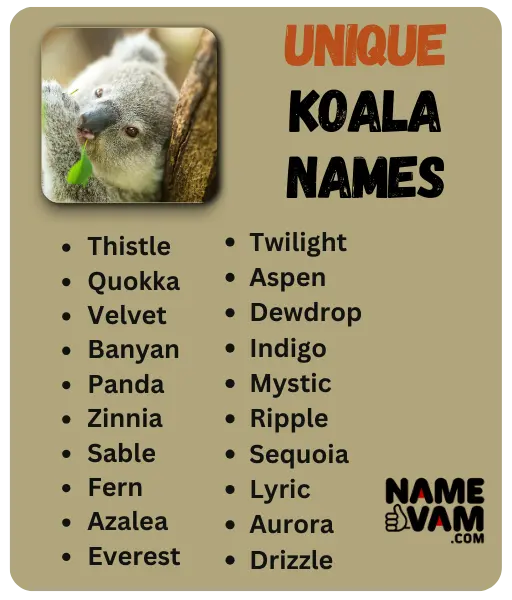 Unique Koala Names