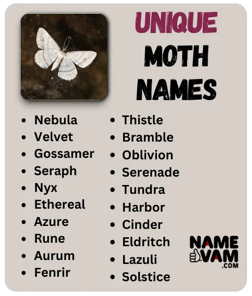 Unique Moth Names