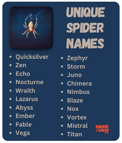 Unique Spider Names