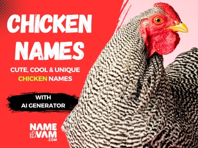 chicken Names