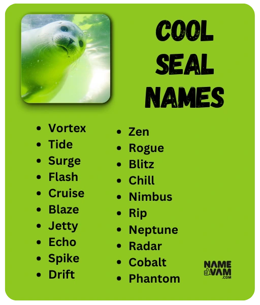 cool seal Names