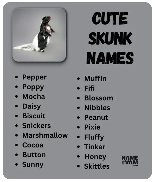 cute skunk Names