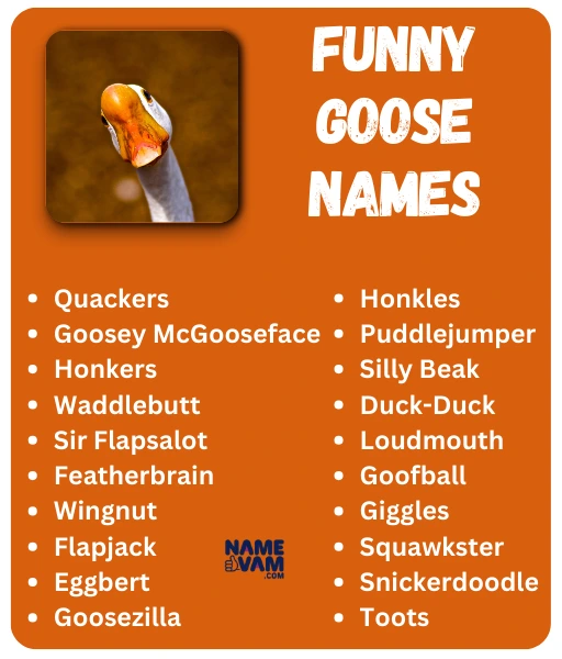 funny goose names