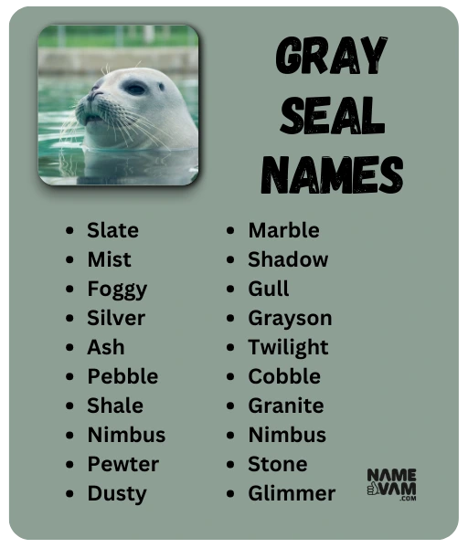 gray seal Names