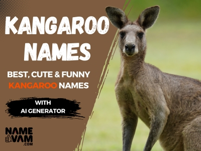 kangaroo Names