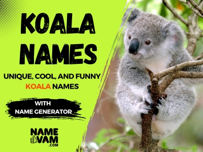 koala Names