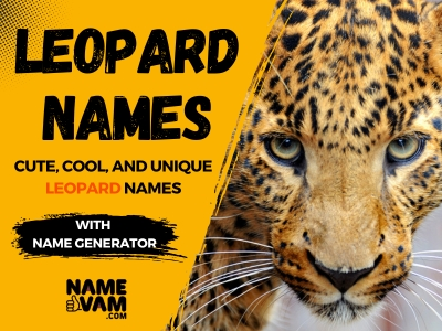 leopard Names