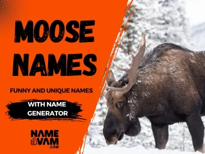 moose names