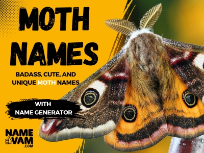 moth Names