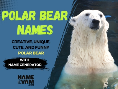 polar bear names