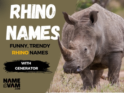 rhino Names