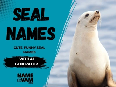 seal names