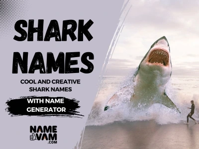 shark names