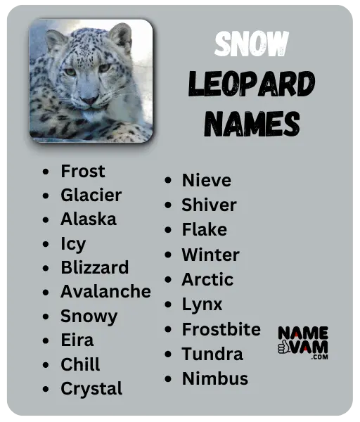 snow Leopard Names