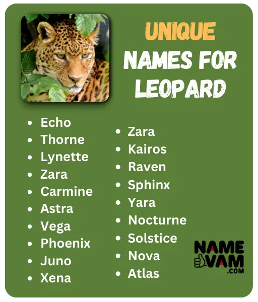 unique Leopard Names