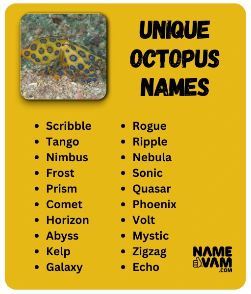 octopus names