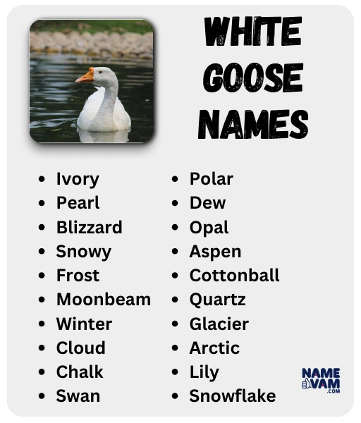 white goose names