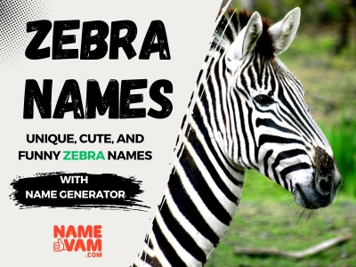 zebra names