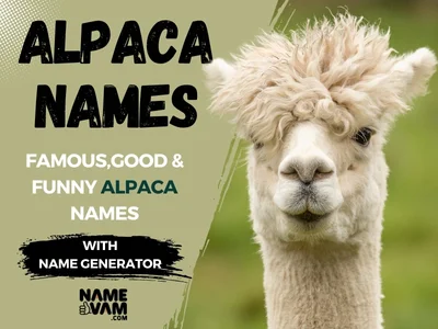 Alpaca Names