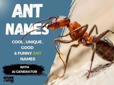 Ant Names