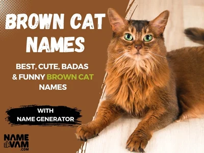 Brown Cat Names