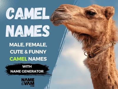 Camel Names