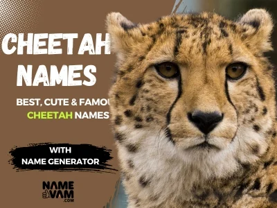 Cheetah Names