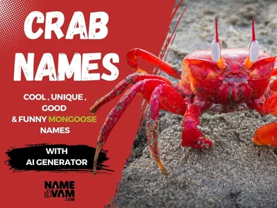 Crab Names