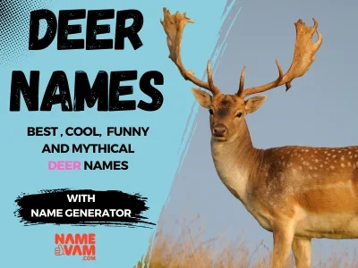 Deer Names