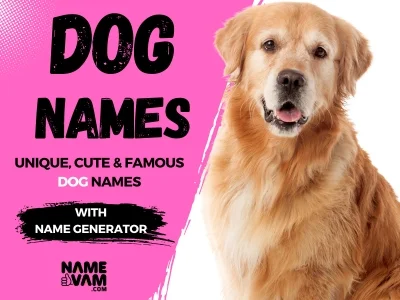 Dog Names