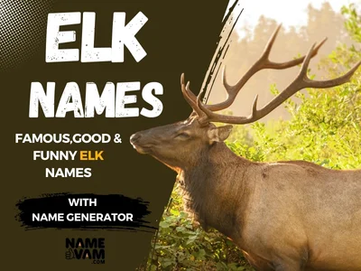 Elk Names