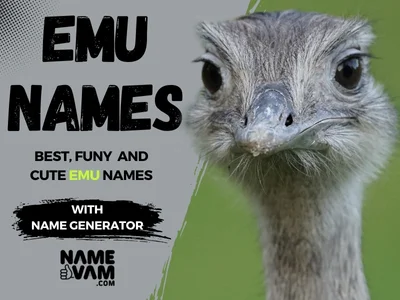 Emu Names