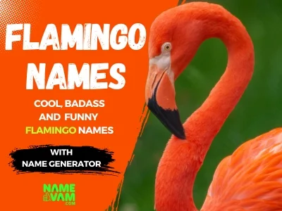 Flamingo Names