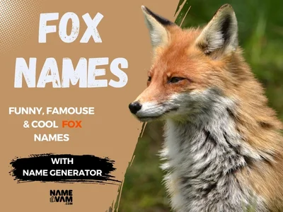 Fox Names