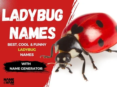 Ladybug Names