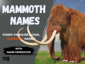 Mammoth Names