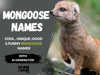 Mongoose Names