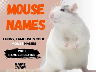 Mouse Names