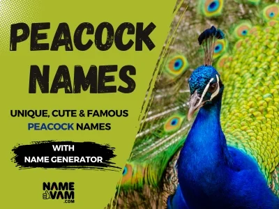 Peacock Names