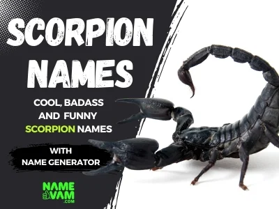 Scorpion Names