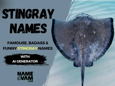 Stingray Names