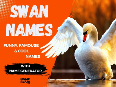 Swan Names