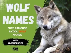 Wolf Names