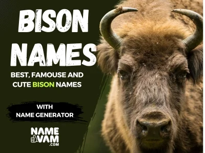 bison Names