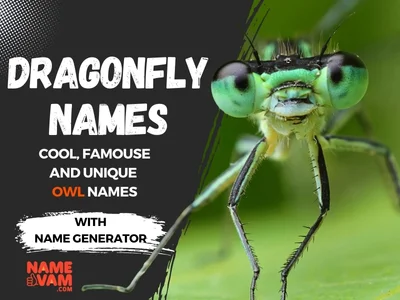 Dragonfly Names