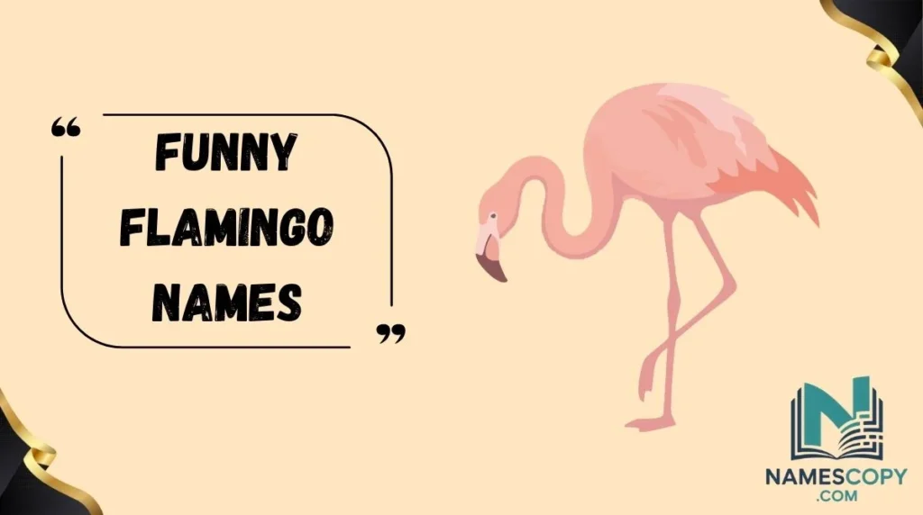 Flamingo 