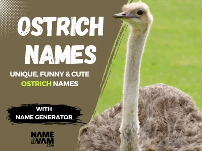 ostrich Names