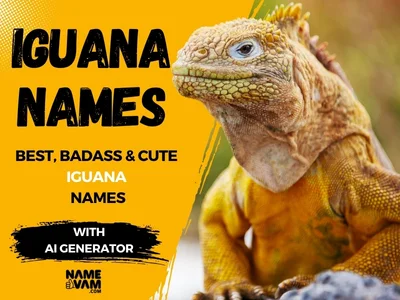 Iguana Names