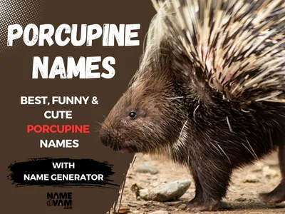 Porcupine Names