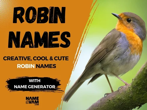 Robin Names